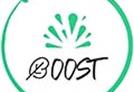 Logo BOOST